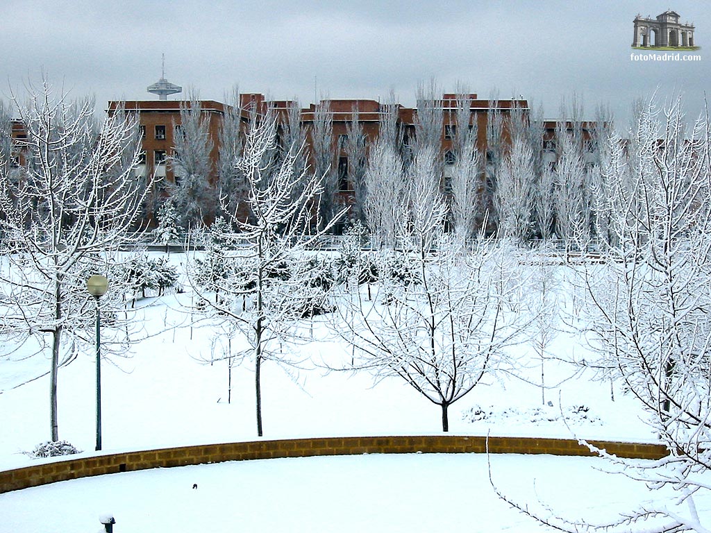 Ciudad universitaria nevada